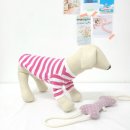 반려견 패션 전문가 양성과정 이미지