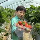 이너스스포츠센터킹덤주짓수 | 이너스센터 1박2일 딸기 농장 체험 및 파자마 파티(화정동 주짓수)