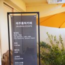홀릭식당 | 제주도실내관광지 중 찐추천! 제주홀릭뮤지엄 아이랑 다녀온 후기