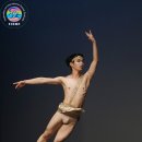 주니어 발레 Daum카페