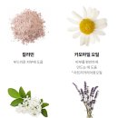 러쉬 비건 세안비누 추천 : 페이셜솝 콜페이스&amp;프레쉬 파머시