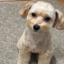 큰녹십자약국 이미지