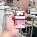 모리스디자인주 이미지