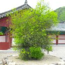 원진수지 이미지