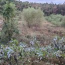 명당터부동산공인중개사사무소 이미지