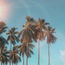 워크아웃 투게더 이미지