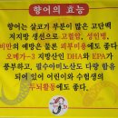 기장향어 | 정관에 드디어 향어 상륙! 정관 펄떡 향어회 방문 후기