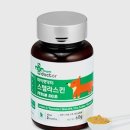 루루강아지 이미지