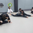 공도 주짓수 이미지