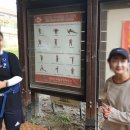 용인대 백두산 태권도 | 내장산 단풍 생태공원 불출봉 서래봉 코스 등산 후기
