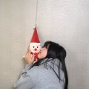 칠암세차장 | 제목: 돼지의 삶