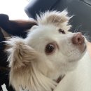 구구네미용실 이미지