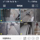 넷토피아