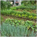 [덕계] 처음사진 이미지