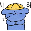 다님여행사