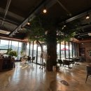 주커피경북왜관점 이미지