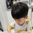 도현이의 책향기 숲향기 책나무 완성📚 이미지