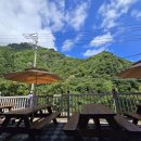 울릉도 올레펜션 | 울릉도 올레펜션 후기 – 위치, 가성비, 힐링까지 다 잡은 숙소 (평일 연박 할인 꿀팁)