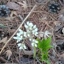 영신이발관 이미지