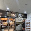 이서메디칼 | 해오름마을 베이커리 마크빈 파주운정점에서 브런치 먹고왔어요