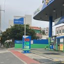 다찌스테이 | 6월 제주도 여행 &amp; 가볼만한 곳 (안덕면사무소 수국, 연돈, 송악산둘레길, 알뜨르비행장, 오설록...