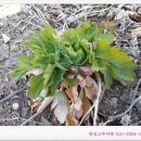 연화마을기업 이미지