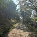 하화도 꽃섬길 | 국내섬여행 여수 하화도 가는 길 백야선착장 배시간