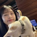 마오락실 Daum카페