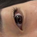 경희솔한의원 | 응암역 속눈썹 그리마눈썹네일 노글루 속눈썹펌 추천