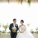린다플랜트