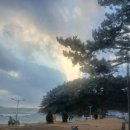 행복한추억 | 몽산포 홀리데이파크 | 태안캠핑장 몽산포 홀리데이파크 방문하여 가족들과 행복한 추억 만들고 온 후기