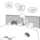 빨간늑대