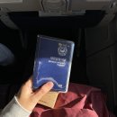 퓨어도그(Pure dog) | 치앙마이 12월 일주일 여행