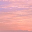 말랑말랭 이미지