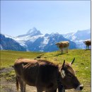 트래블몬스터 이미지