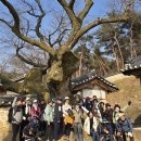 5일장터 이미지