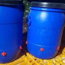 박종상농장 이미지