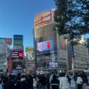 교차로 | 시부야 스크램블 교차로 한눈에 보는 시부야 스타벅스 후기