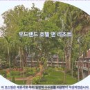 다인호텔앤리조트 | 파타야 우드랜드 호텔 앤 리조트 후기: 인생 여행 &amp; 추천 호텔