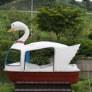 자연애품