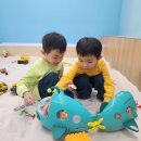 공룡 애니멀쇼 | 제주 공룡 공연 아이 반응 대박 공룡애니멀쇼 후기