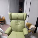 핸슨소파 - 서구 하남대로 568 | 🛋️ 핸슨 오리온 1인용 리클라이너 소파 후기｜허리통증 완화 + 고급 가죽 인테리어 소파 추천