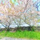 화북진지 이미지