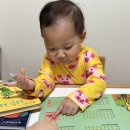 오감 중국어 | 24개월 아기 블루래빗 소전집 후기 : 블루래빗 성장일기