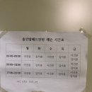 솔안말배드민턴장 네이버블로그