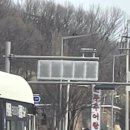 법인녹색드림