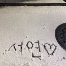 리리플리 | LoVe oN tOP