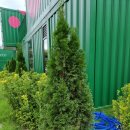 문화공간 아리스 이미지