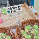 중원-83 | 💛모란역 놀거리 추천｜신상 소품샵 히로핀 후기(+가챠, 피규어, 볼꾸)