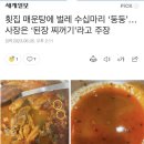 전라도매운탕 이미지